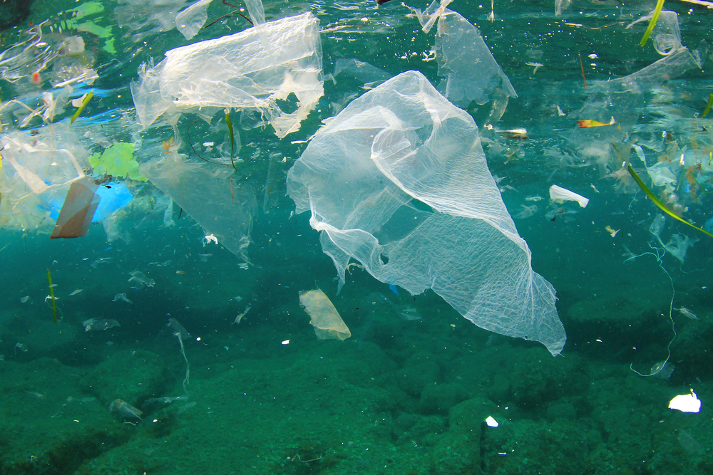 Plastic Fantastic – Eliminating Plastic Waste