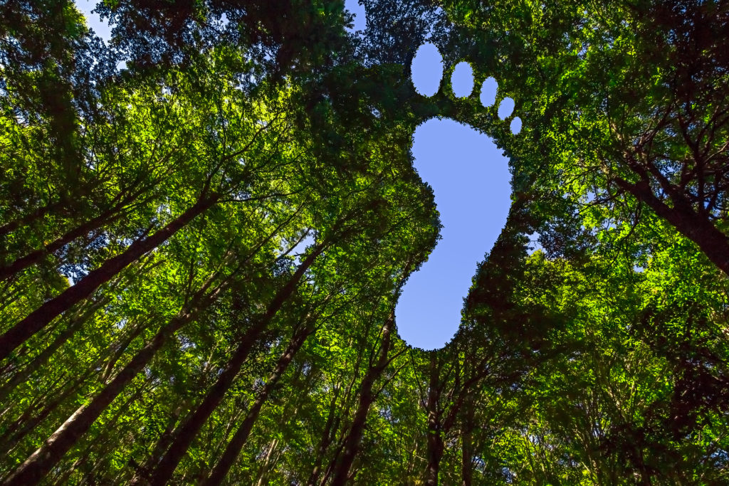 A way to measure environmental impact – the ecological footprint