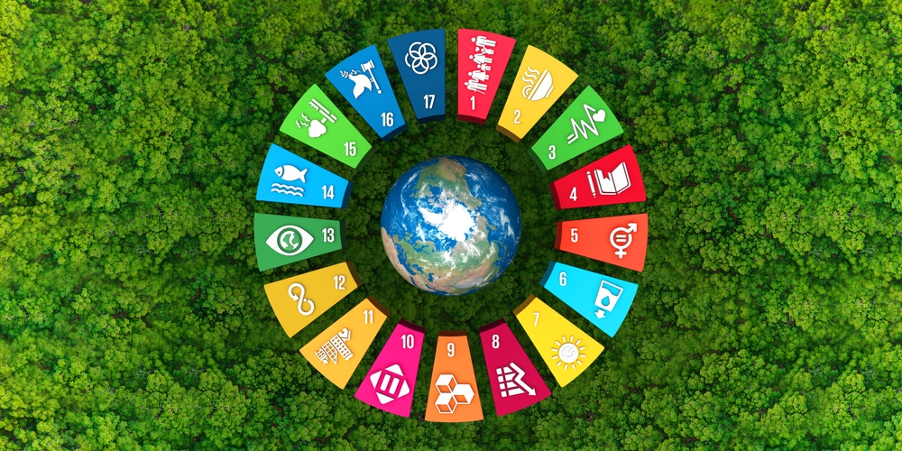 Integrating Sustainable Development Goals