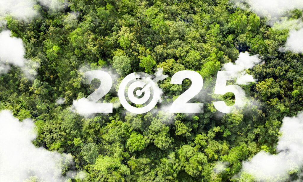 Five New Year’s Resolutions for Environmental Practitioners in 2025