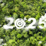 Five New Year’s Resolutions for Environmental Practitioners in 2025