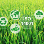 A Guide to ISO 14001 Certification: Preparation, Requirements & Staying Compliant